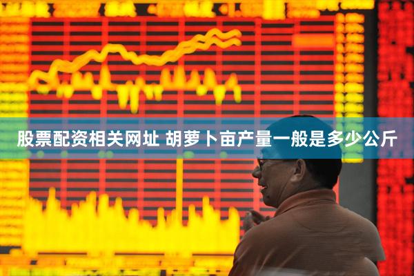 股票配资相关网址 胡萝卜亩产量一般是多少公斤
