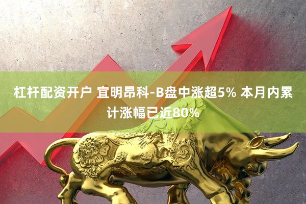 杠杆配资开户 宜明昂科-B盘中涨超5% 本月内累计涨幅已近80%
